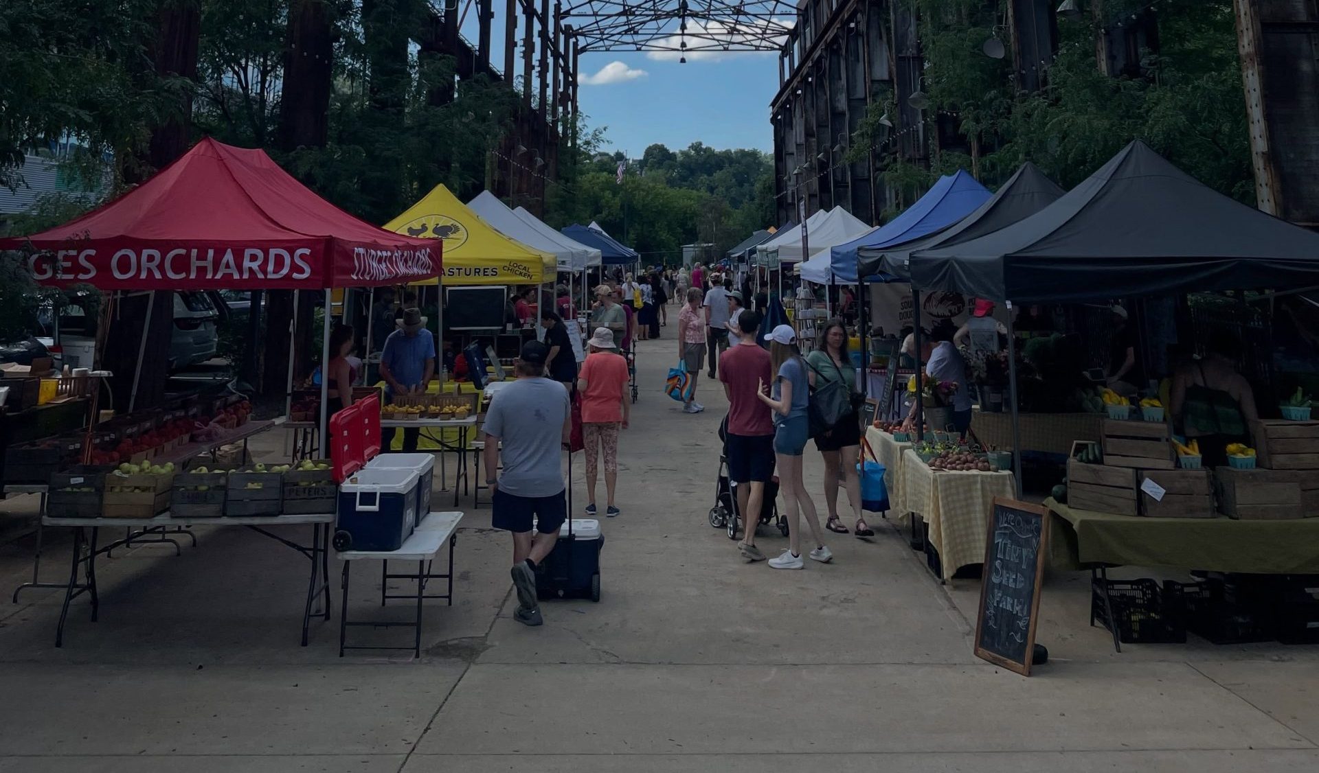 An outdoor shot of a market with a bunch of tents set up