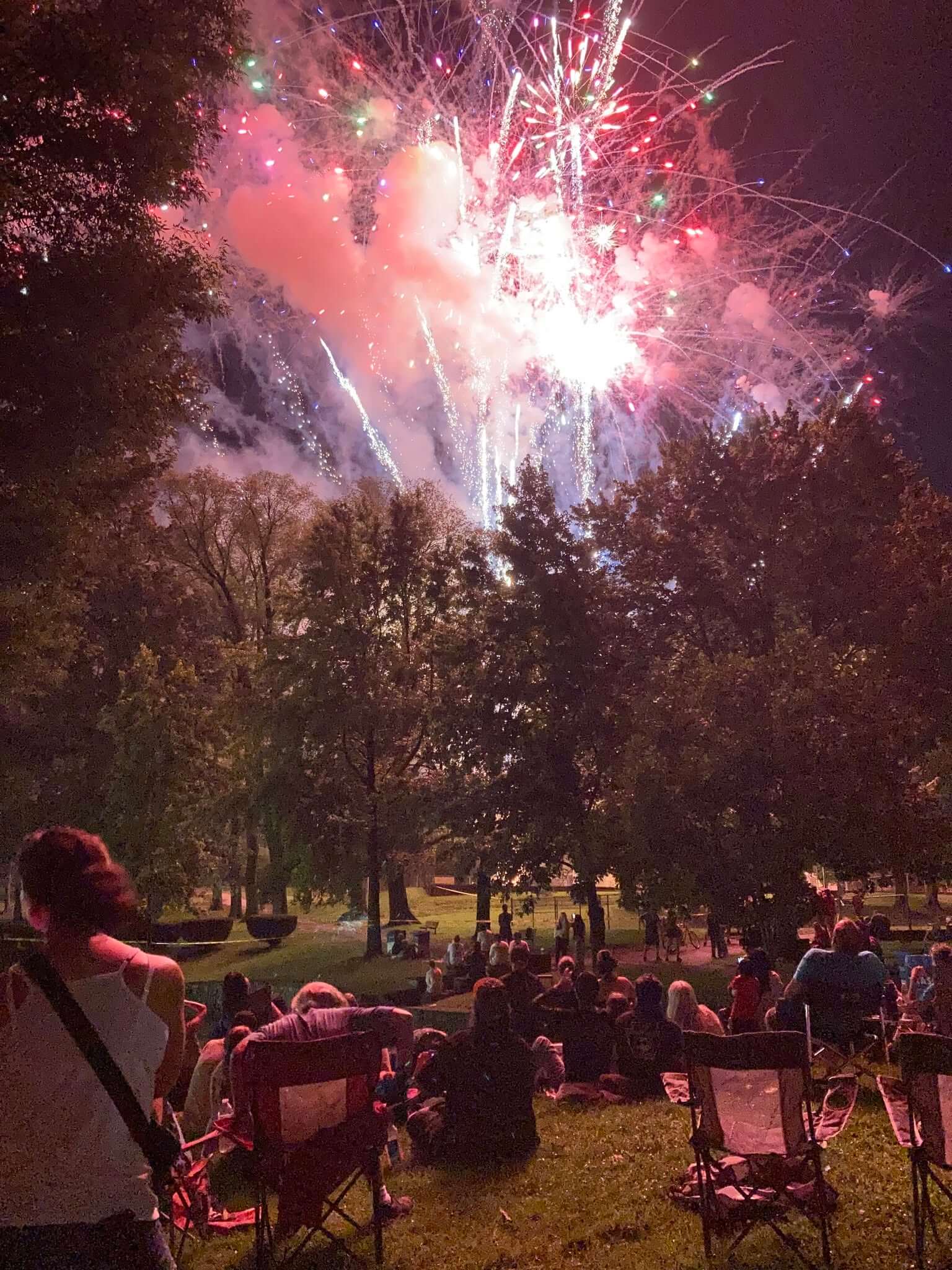 A crowd of people in the park gather for an impressive display of fireworks