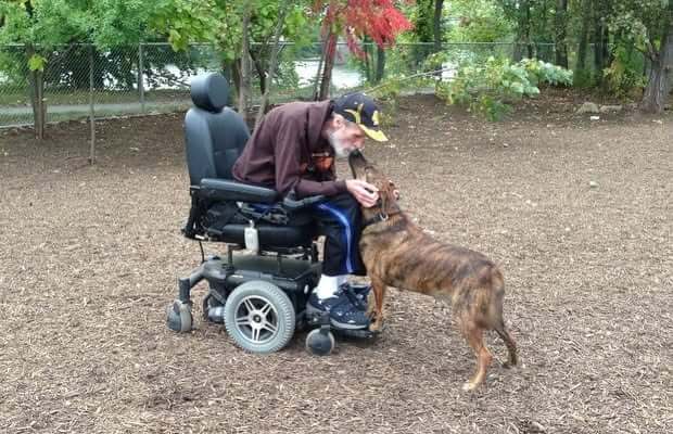 A man in a wheel chair receives love from a dog.